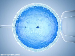 周医生
